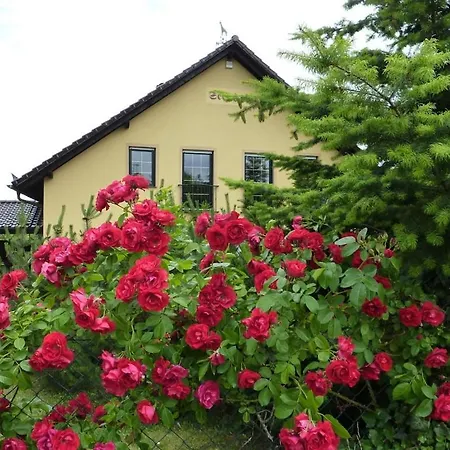 بيت للعطل Carol's Country-house سيهوف