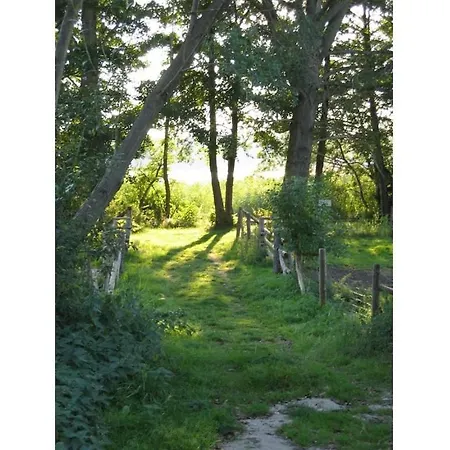 Carol's Country-house سيهوف