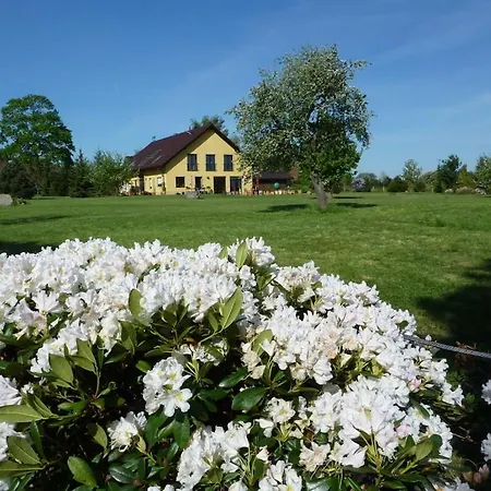 Carol's Country-house *