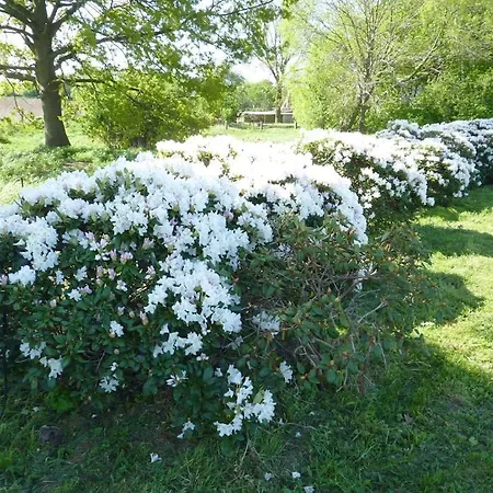 Carol's Country-house بيت للعطل سيهوف