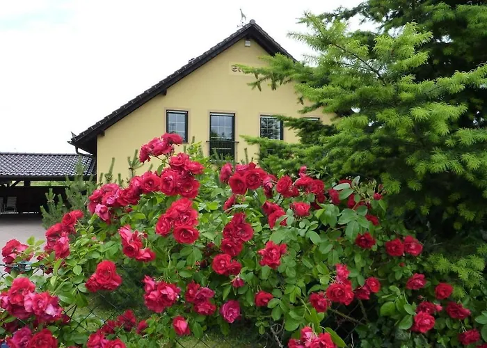Holiday home Carol's Country-house Seehof (Brandenburg)