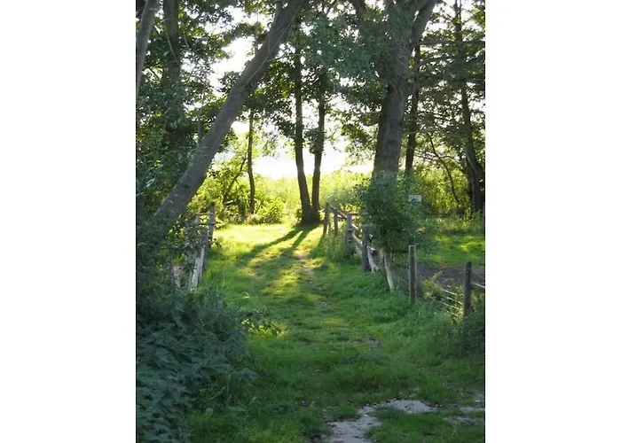 Carol's Country-house Seehof (Brandenburg)