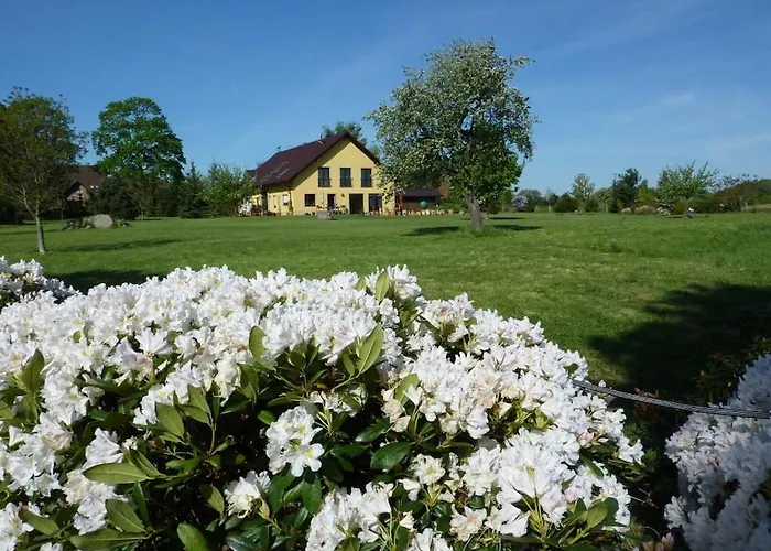Carol's Country-house *