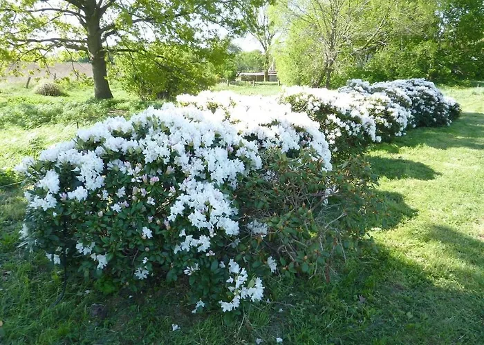 Carol's Country-house بيت للعطل سيهوف